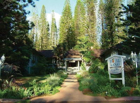 Gallery - Hotel Lanai