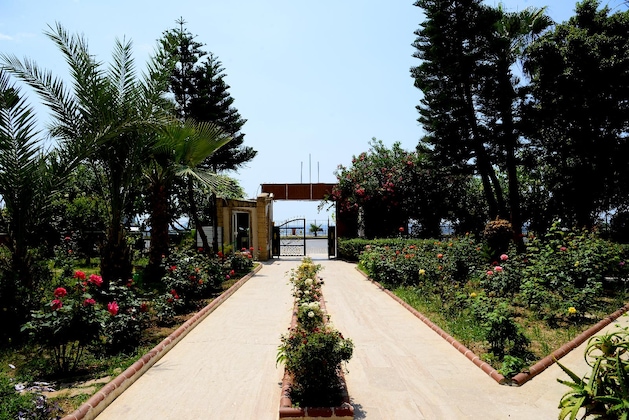 Gallery - Royal Ideal Beach Hotel