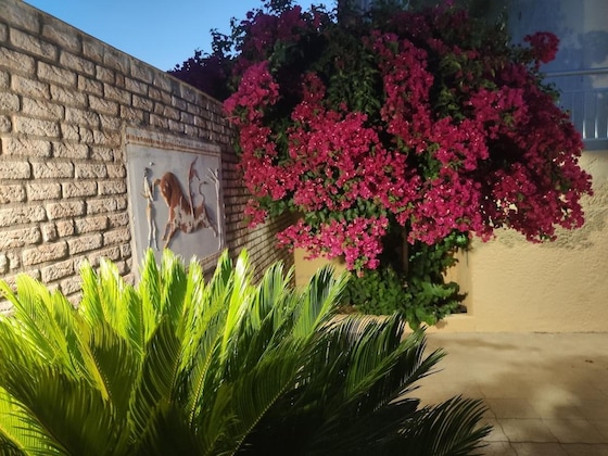 Gallery - Stork Hotel