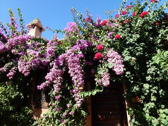 Gallery - Auberge Chez Momo Ii