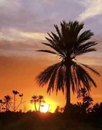 Gallery - Djerba Orient