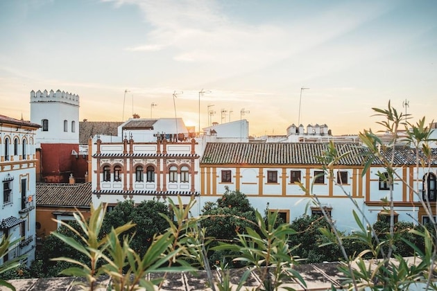 Gallery - Hotel Boutique Elvira Plaza