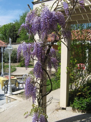 Gallery - Le Continental Hotel