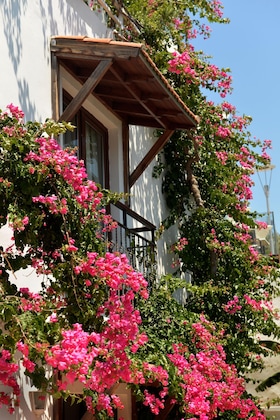 Gallery - Kalamar Hotel