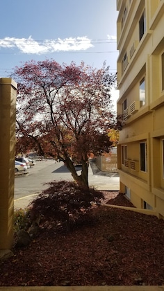 Gallery - Ramada By Wyndham Downtown Spokane