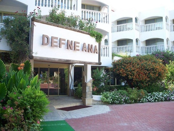 Gallery - Defne Ana