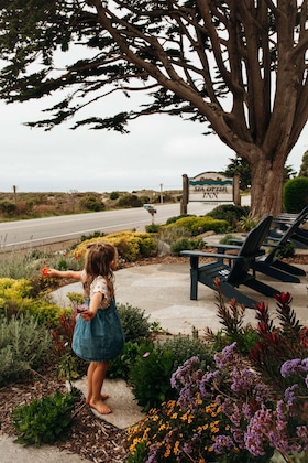 Gallery - Sea Otter Inn
