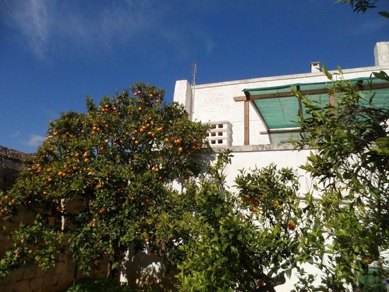 Gallery - Masseria Pugliese