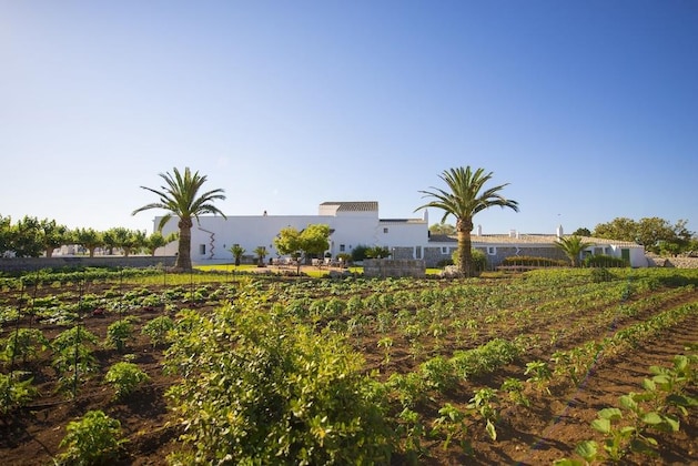 Gallery - Agroturismo Llucmaçanes Gran