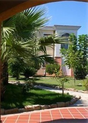 Gallery - L'ulivo