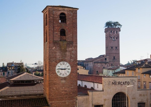 Gallery - Altana Panoramic