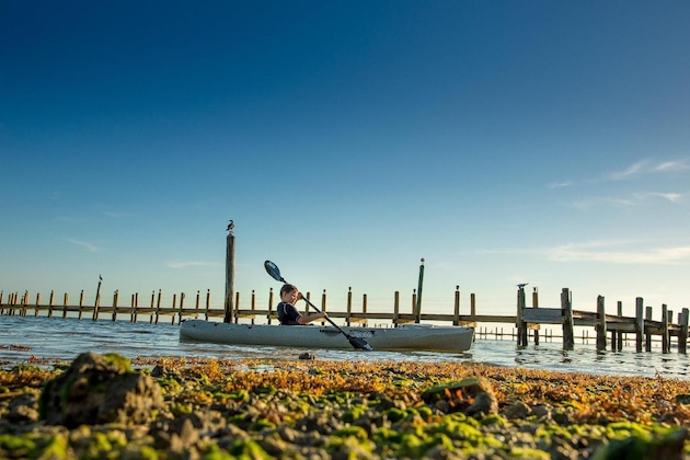 Gallery - The Caribbean Resort