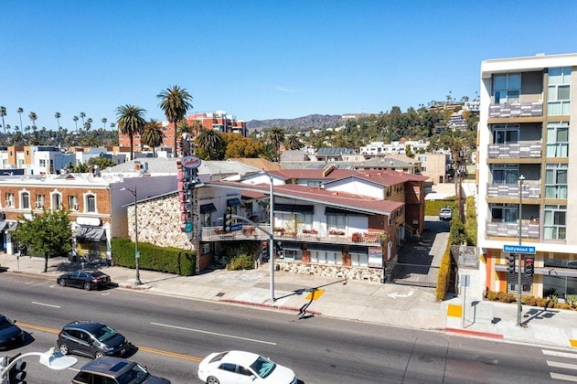 Gallery - Hollywood Downtowner