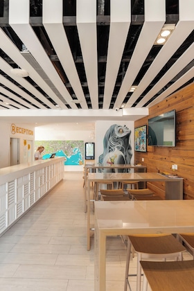 Gallery - Ryans La Marina