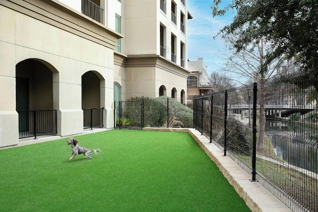 Gallery - Sol Cypress, San Antonio, A Tribute Portfolio Hotel