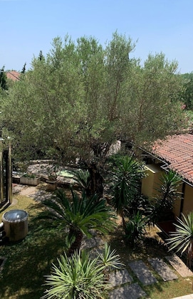 Gallery - Hotel Ideal