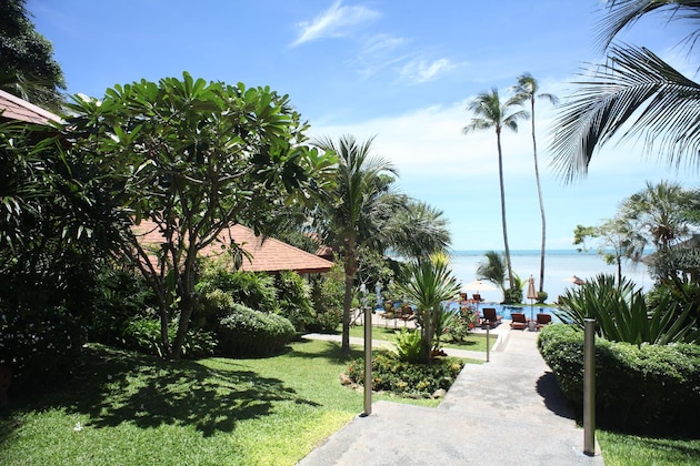 Gallery - Palm Coco Mantra