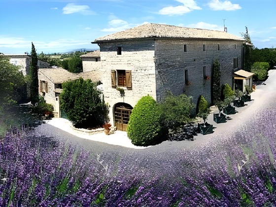 Gallery - Le Mas du Terme
