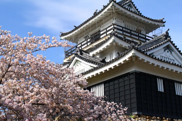 Gallery - Hotel Concorde Hamamatsu