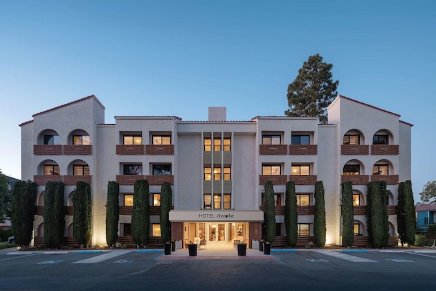Gallery - Hotel Avante