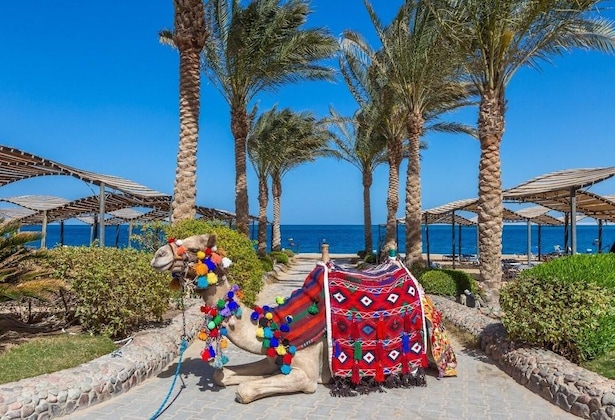 Gallery - Sphinx Aqua Park Beach Resort