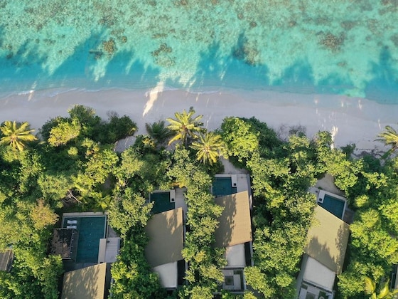 Gallery - Park Hyatt Maldives Hadahaa