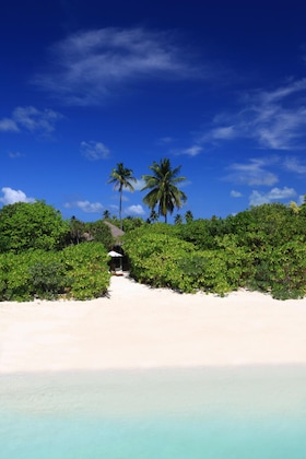 Gallery - Six Senses Laamu
