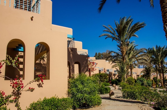 Gallery - Club Paradisio El Gouna Red Sea