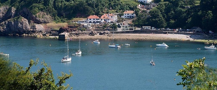 Gallery - Babbacombe Palms