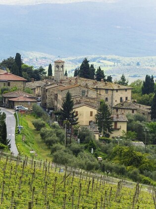 Gallery - Castello Di Fonterutoli Wine Resort