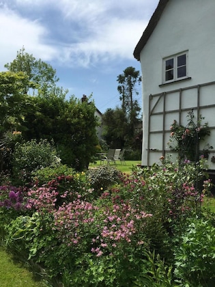 Gallery - Splatthayes B&B