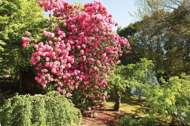 Gallery - Woolrich Historic Garden Cottage