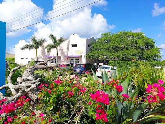 Gallery - Agua Clara Eco Suites