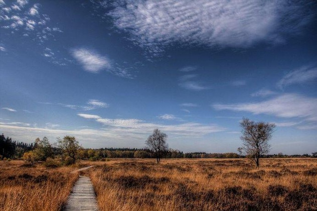Gallery - Domaine des Hautes Fagnes