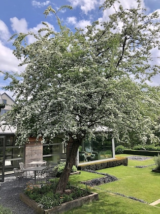 Gallery - Le Côté Vert