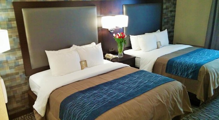 Gallery - Comfort Inn Montreal Airport