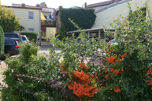 Gallery - Hotel Pension Mandy