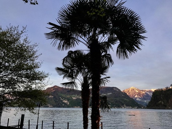 Gallery - Seehotel Pilatus