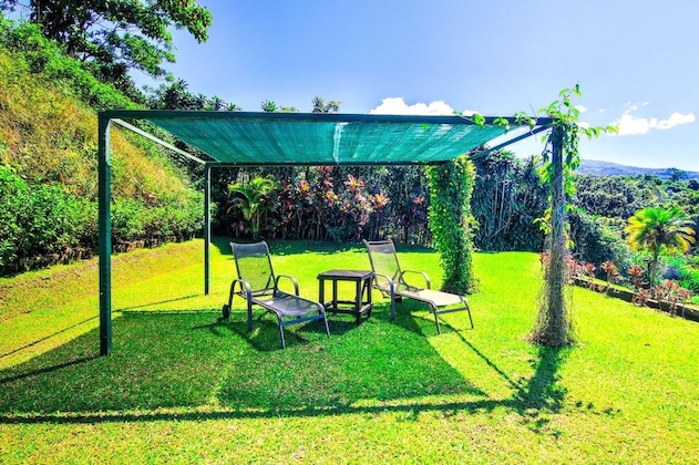 Gallery - Hotel Mango Valley