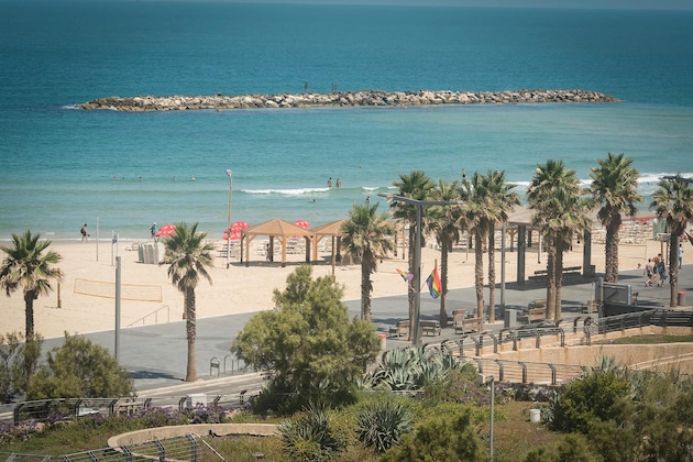 Gallery - TLV 88 Sea Hotel