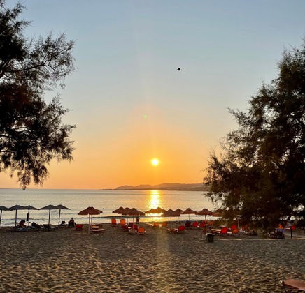 Gallery - Pal Beach
