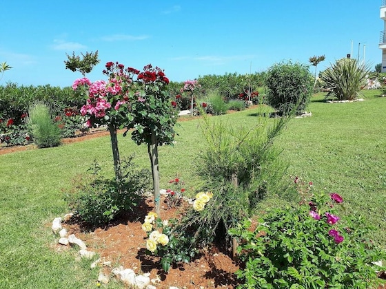 Gallery - Villa Rosetta