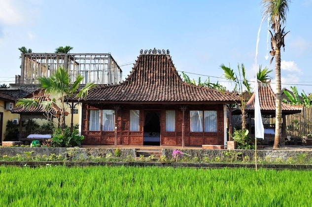 Gallery - Kampoeng Joglo Abangan Ubud