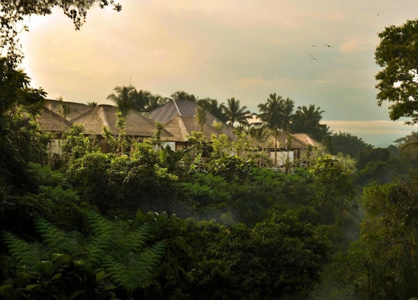 Gallery - Luwak Ubud Villa