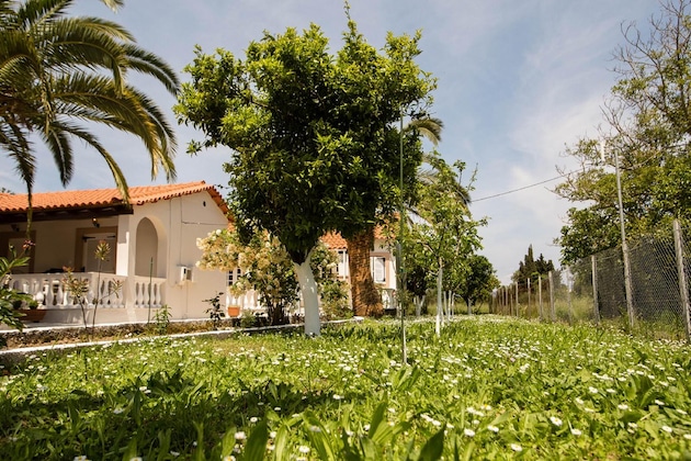 Gallery - Paradise Village