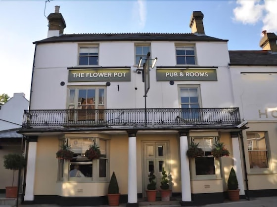 Gallery - The Flower Pot
