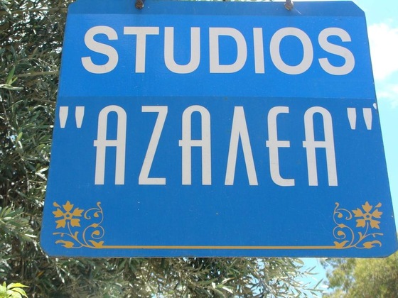 Gallery - Azalea Studios