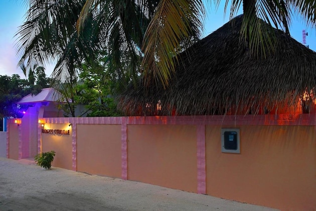 Gallery - Rasdhoo Coralville