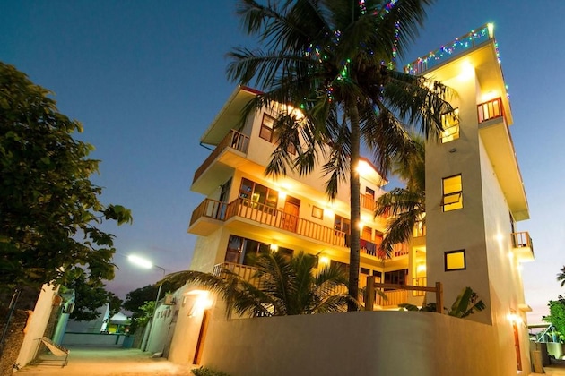 Gallery - Tropic Tree Hotel Maldives