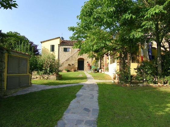 Gallery - L'ippocastano